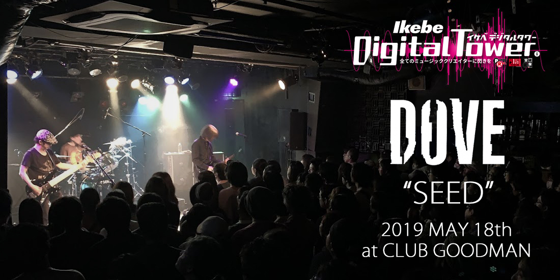 DOVE、再び。～2019ライブ&機材レポート | イケベ デジタルタワー / DIGITAL TOWER